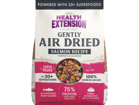 Health Extension Gently Air Dried Complete Salmon Recipe Dog Food For Sale