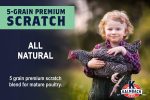 Kalmbach All-Natural 5-Grain Premium Scratch Grain Online Hot Sale