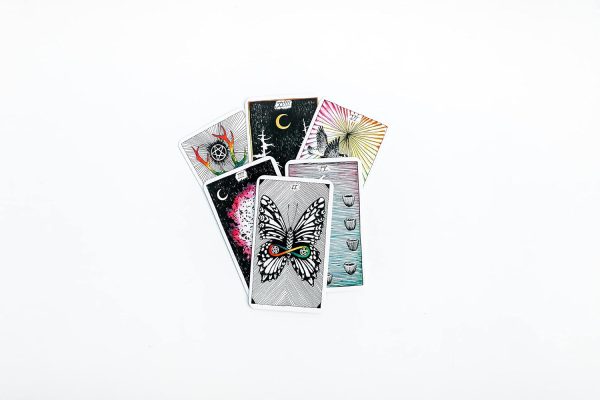 The Wild Unknown Pocket Tarot - Korttipakka Online now