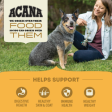 ACANA Free Run Poultry Dog Food Online now