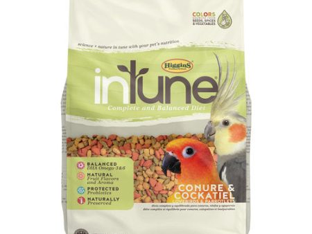 Higgins Intune Conure & Cockatiel Food Cheap