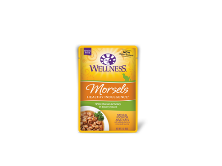 Wellness Healthy Indulgence Turkey and Chicken Pouch Cat Food Online Sale