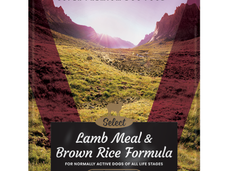 Victor Select Lamb Meal and Brown Rice Dog Food Online now