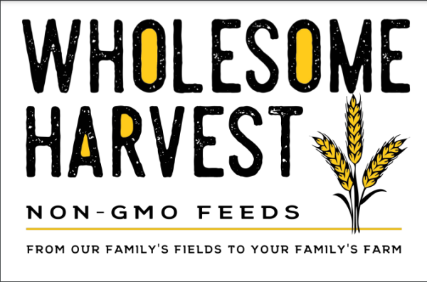 Wholesome Harvest Non-GMO Turkey & Game Bird Grower 24% For growing turkeys, peacocks, guineas, and pheasants Online