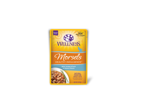 Wellness Healthy Indulgence Turkey and Duck Pouch Cat Food Discount